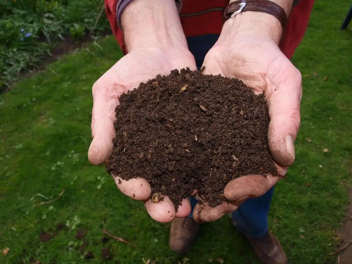 Comment fabriquer de l’engrais naturel pour ses plantes ?